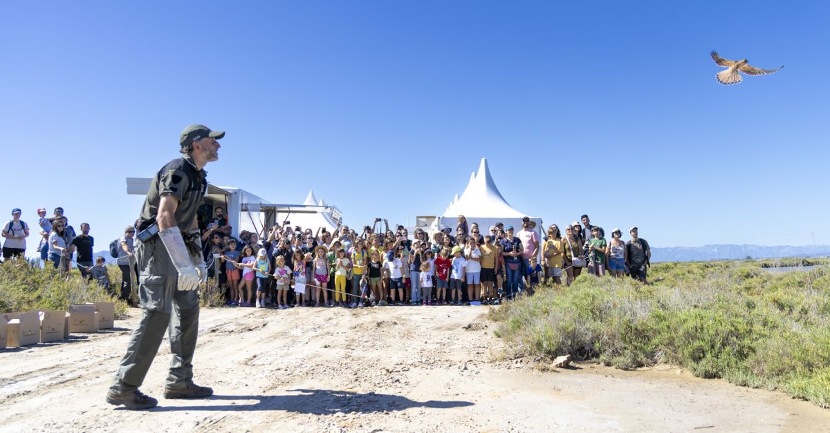 El Delta Birding Festival fa ple absolut a les activitats programades | EbreActiu.cat, revista digital d’oci actiu | Terres de l’Ebre ...