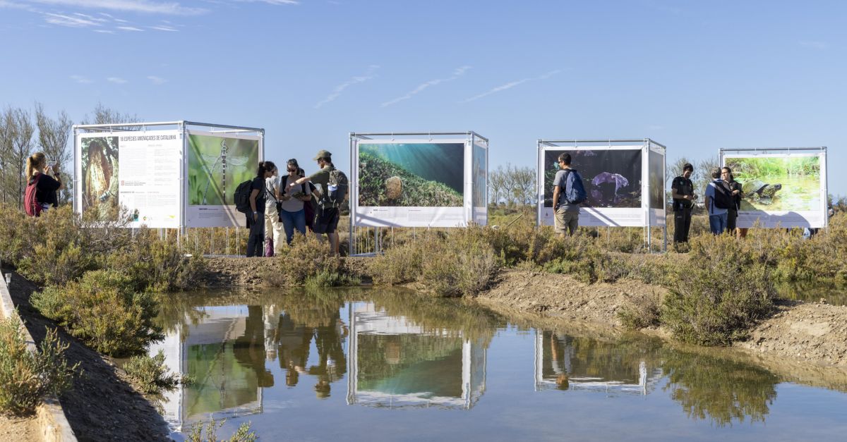 El Delta Birding Festival fa ple absolut a les activitats programades | EbreActiu.cat, revista digital d’oci actiu | Terres de l’Ebre ...