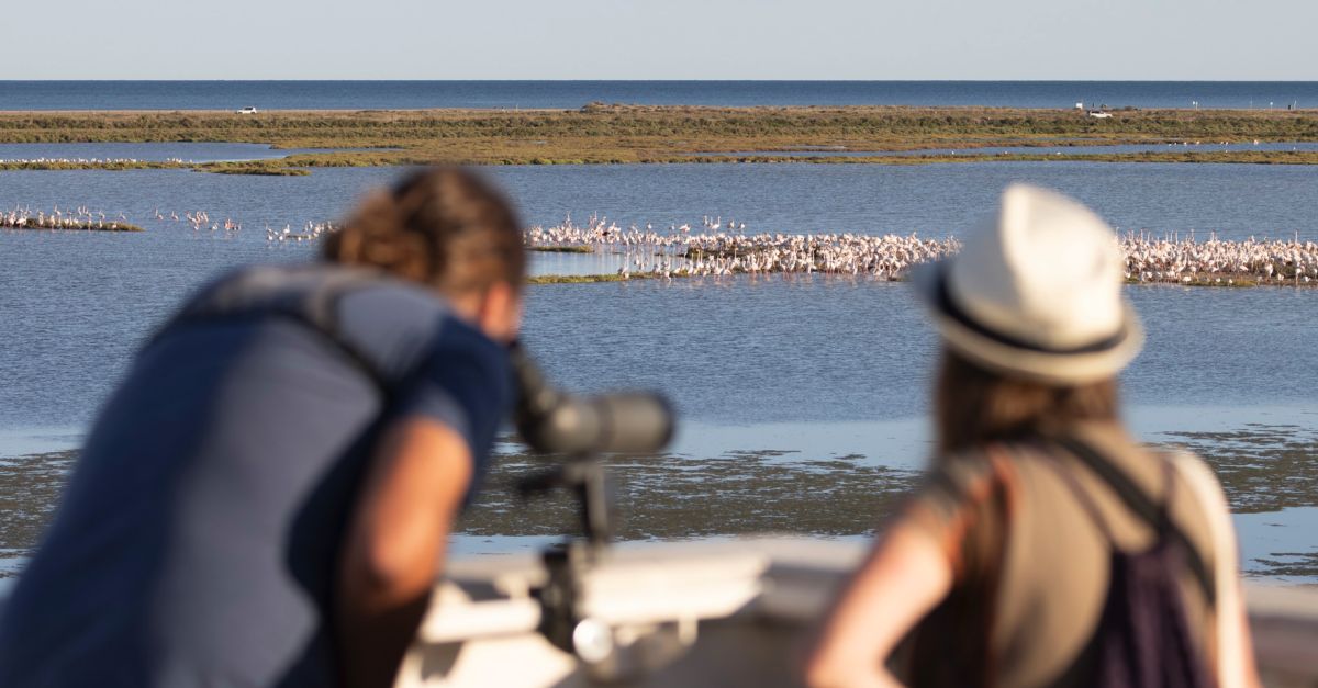 El Delta Birding Festival rep 4.000 visites | EbreActiu.cat, revista digital d’oci actiu | Terres de l’Ebre ...