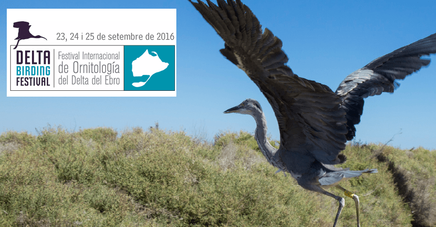 3r Delta Birding Festival