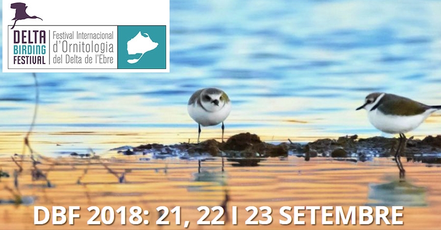 5 Delta Birding Festival 2018