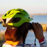 DELTACLETA. Alquiler de bicicletas elctricas en el Delta del Ebro