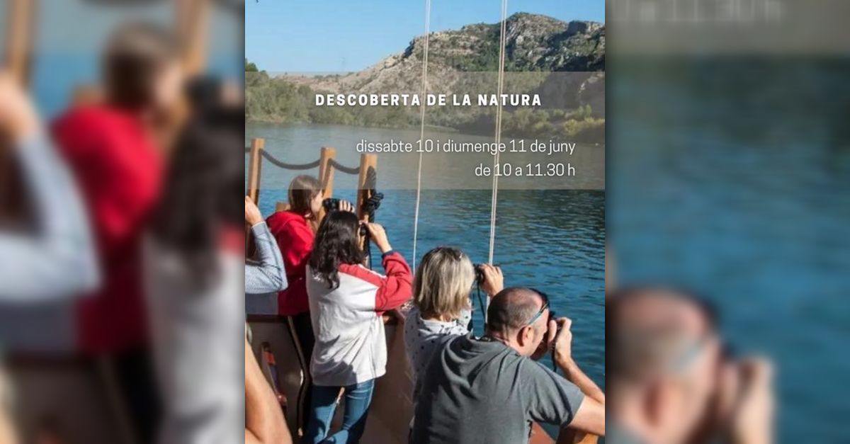 Descubierta de naturaleza a bordo del laud Lo Roget