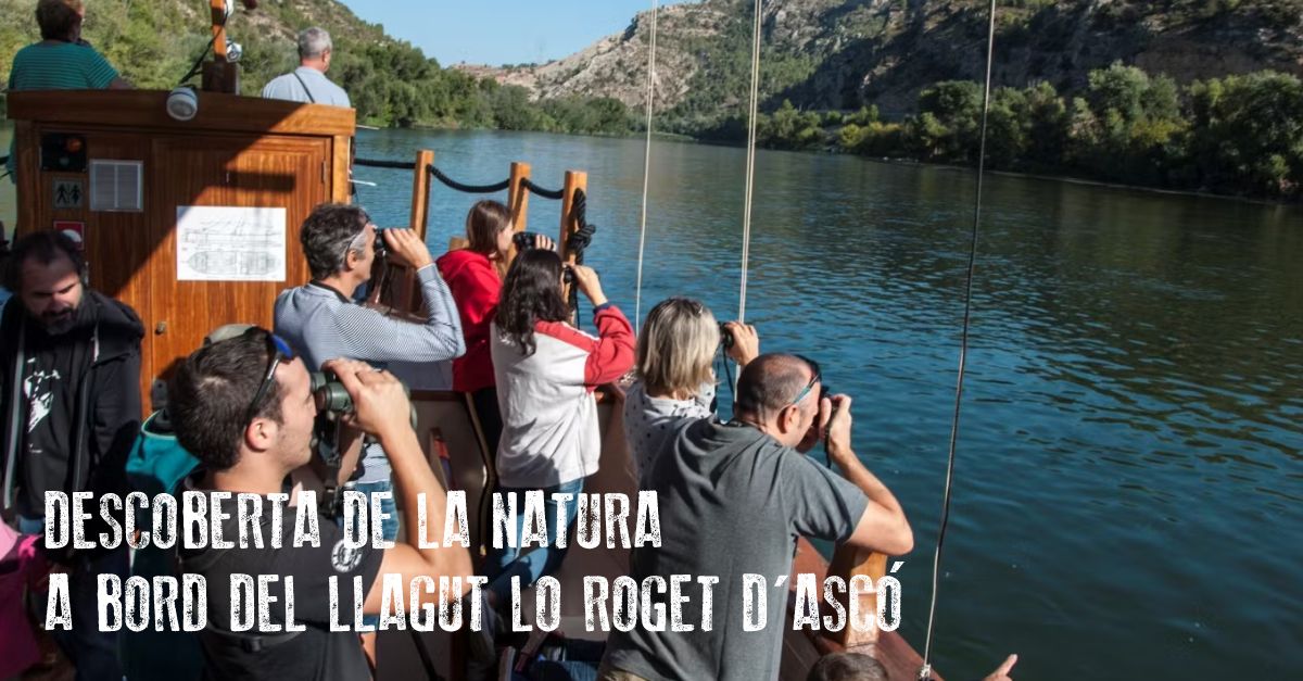 Descoberta de natura a bord del llagut Lo Roget