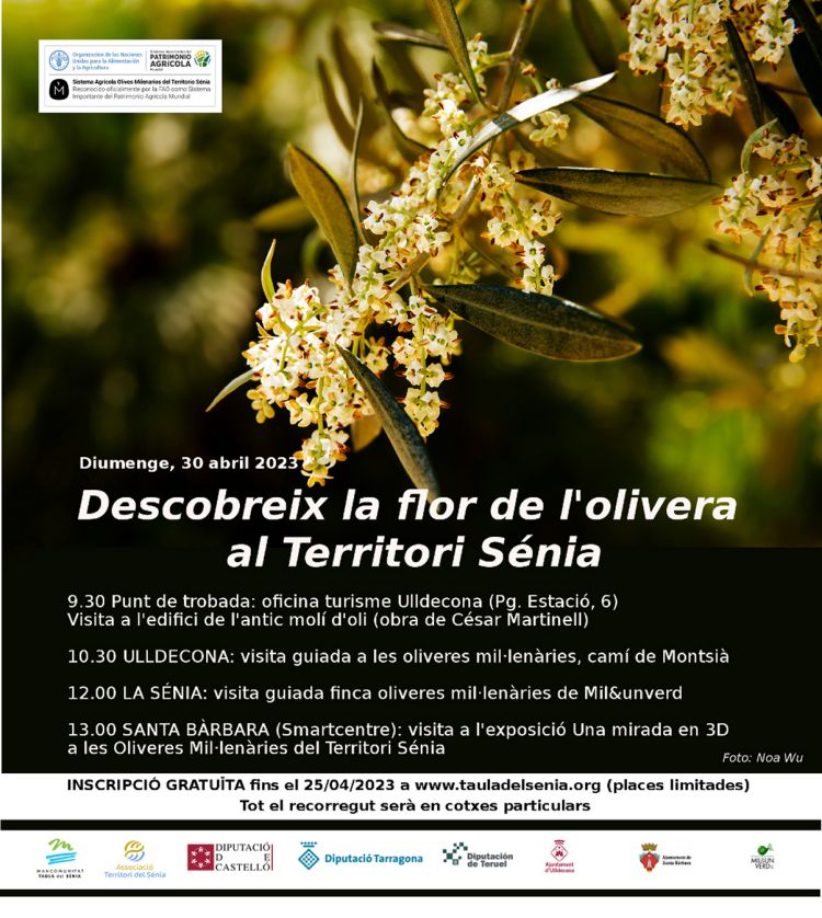 Descobreix la flor de lolivera al Territori Snia (AJORNAT AL 14 DE MAIG)