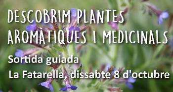 Sortida guiada: Descobrim plantes aromtiques i medicinals