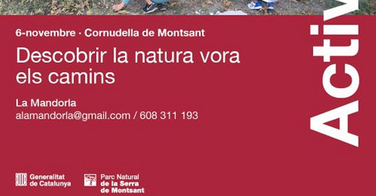 Descobrir la natura per la vora dels camins