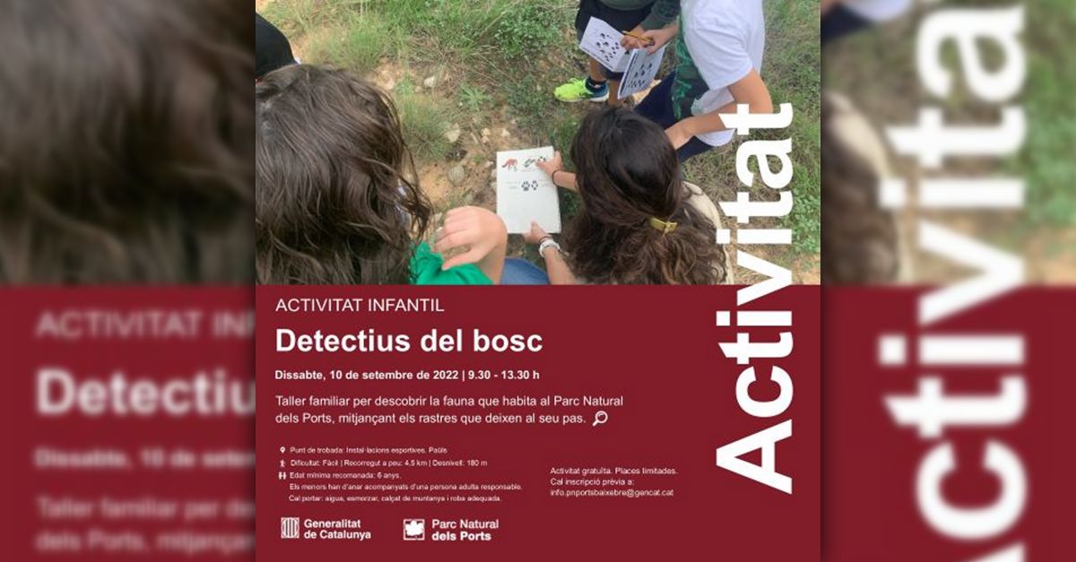 Detectives del bosque