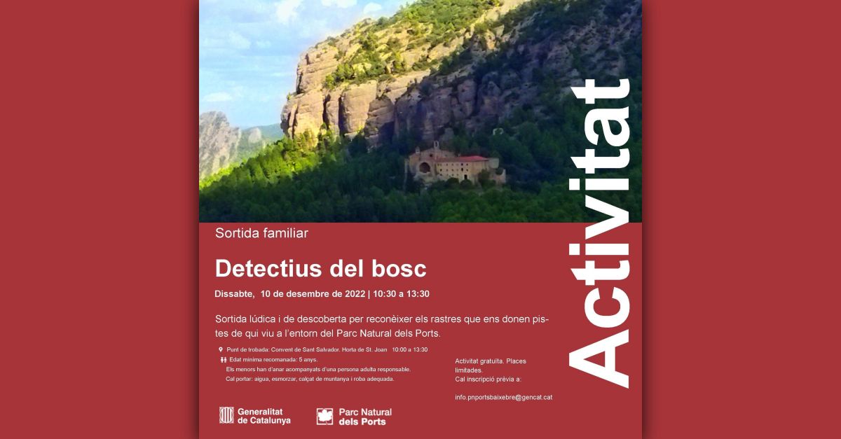 Salida familiar: Detectives del bosque