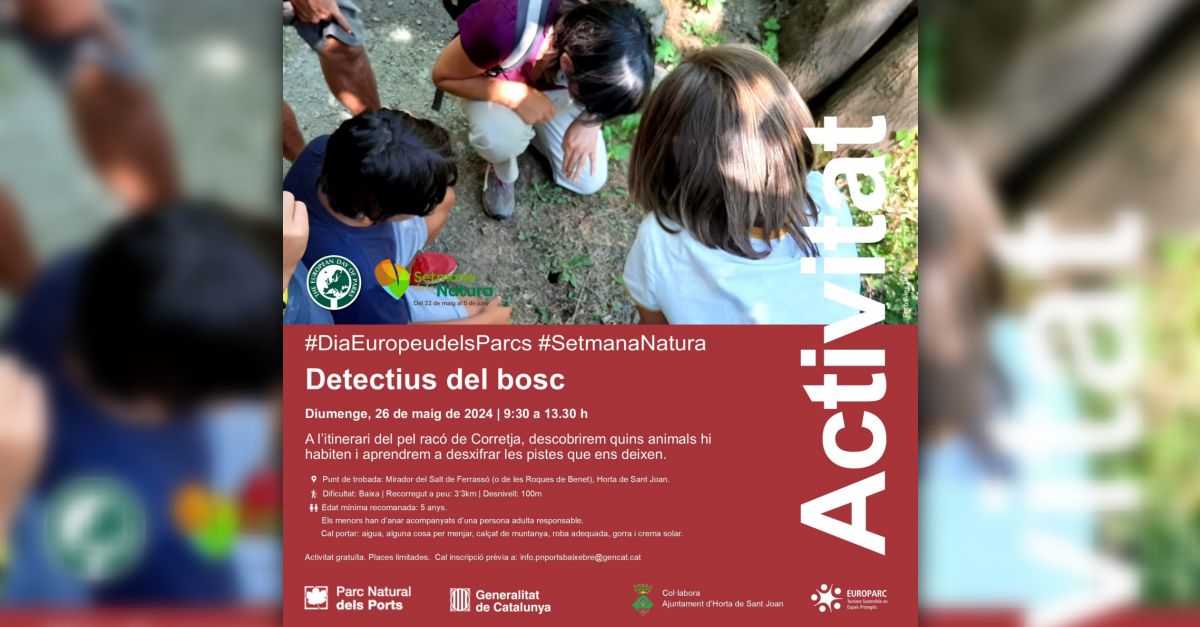 Detectius del bosc