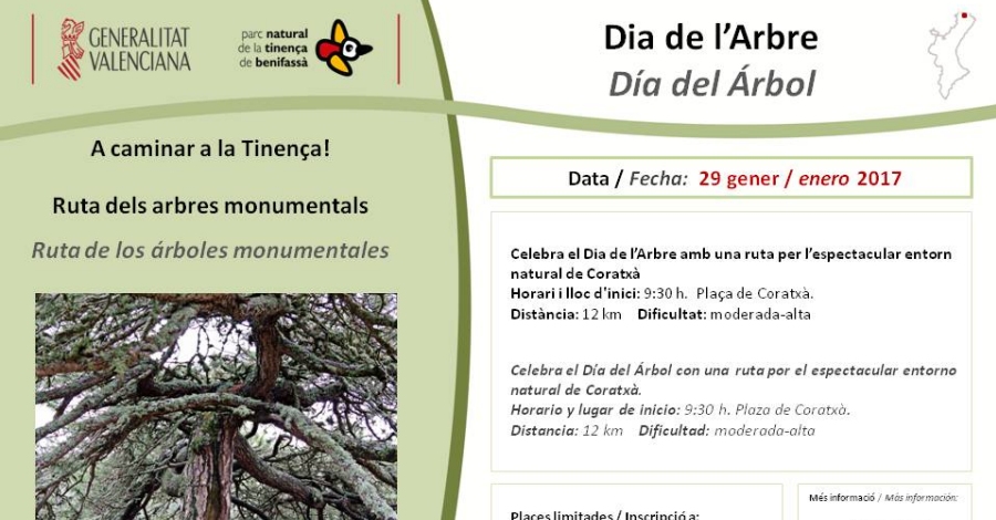 A caminar a la Tinena! Ruta dels arbres monumentals