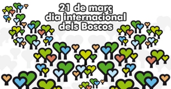 Da Internacional de los Bosques 