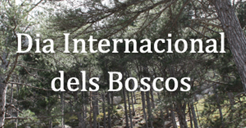 Dia Internacional dels Boscos