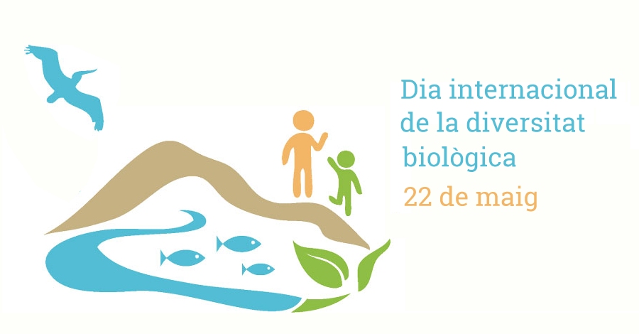 Dia Internacional de la Diversitat Biolgica 2019