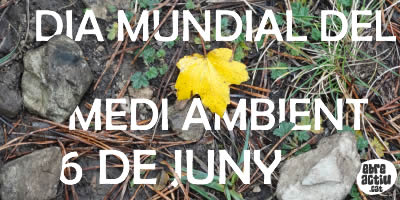 Dia Mundial del Medi Ambient