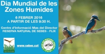 Dia Mundial de les Zones Humides a la reserva natural de Sebes