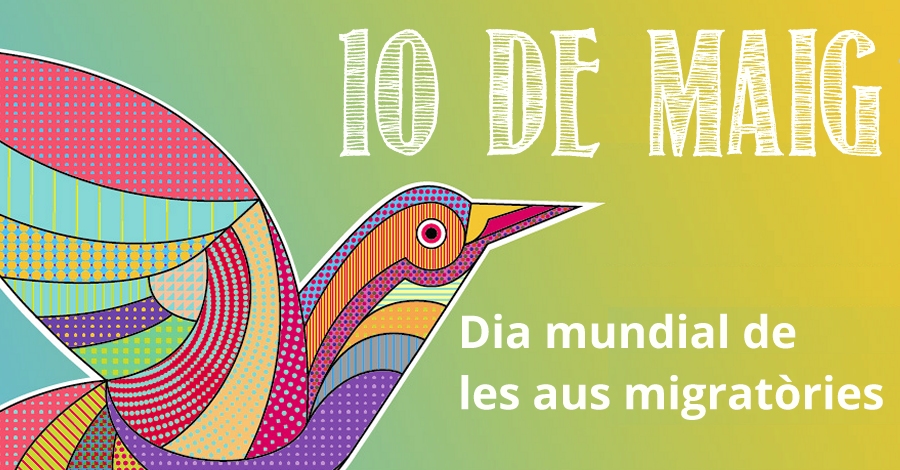 Da mundial de las aves migratorias 2019