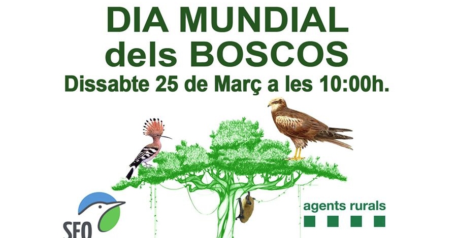 Celebraci del Dia Mundial dels Boscos