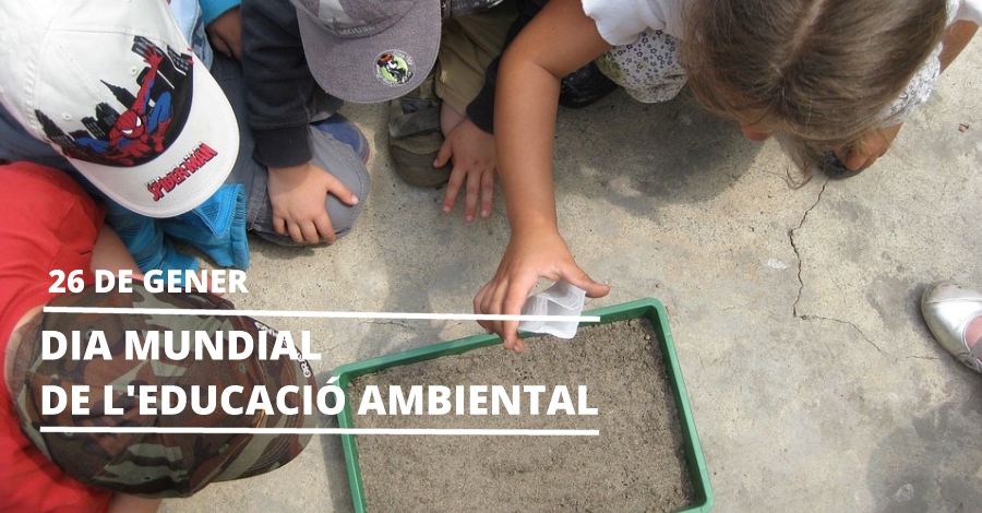 Dia Mundial de l’Educaci Ambiental