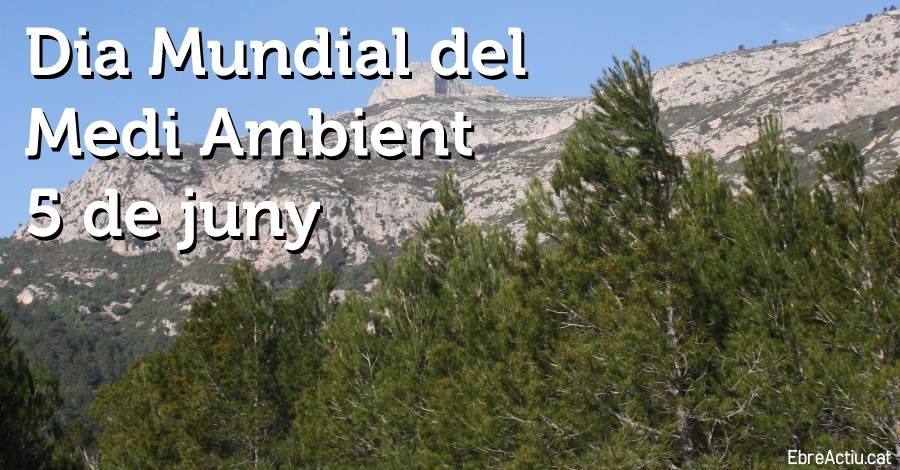 Da Mundial del Medio Ambiente 2019