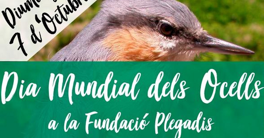 Dia Mundial dels Ocells a la Fundaci Plegadis