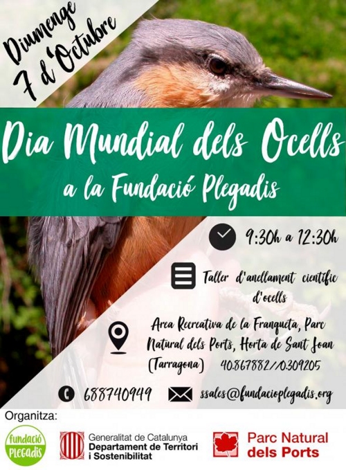 Dia Mundial dels Ocells a la Fundaci Plegadis