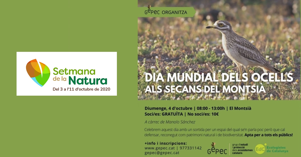 Dia mundial dels ocells de secans al Montsi. Setmana de la Natura