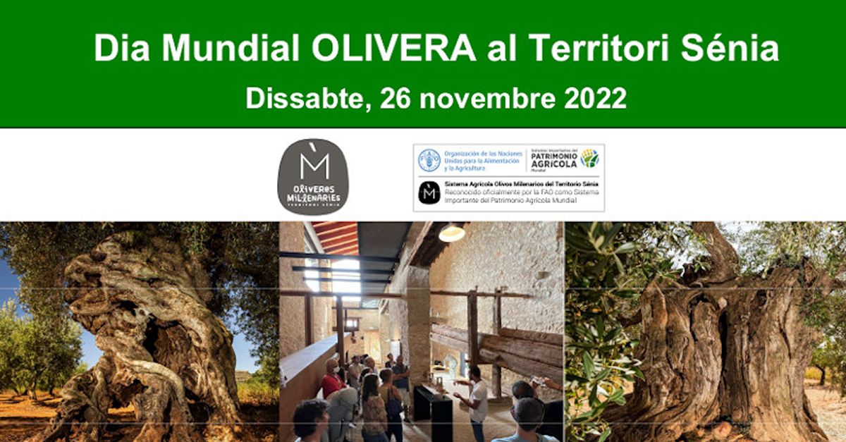 Dia Mundial de lOlivera al Territori Snia