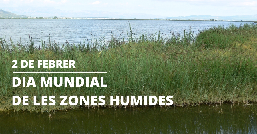 Dia Mundial de les Zones Humides 2018