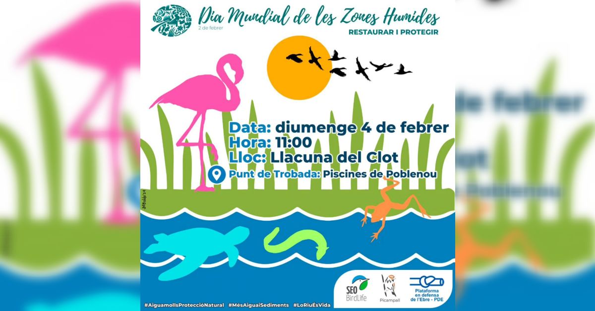 Dia Mundial de les Zones Humides 2024