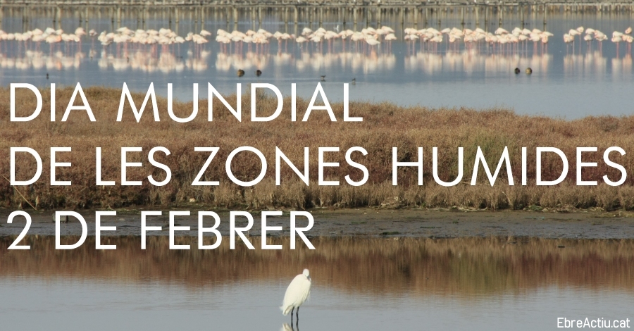 Dia Mundial de les Zones Humides 2019