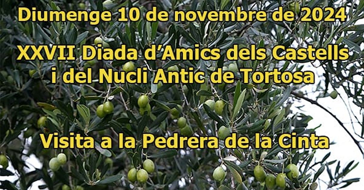 La 27a Diada dAmics dels Castells i el Nucli Antic de Tortosa donar a conixer la pedrera de la Cinta