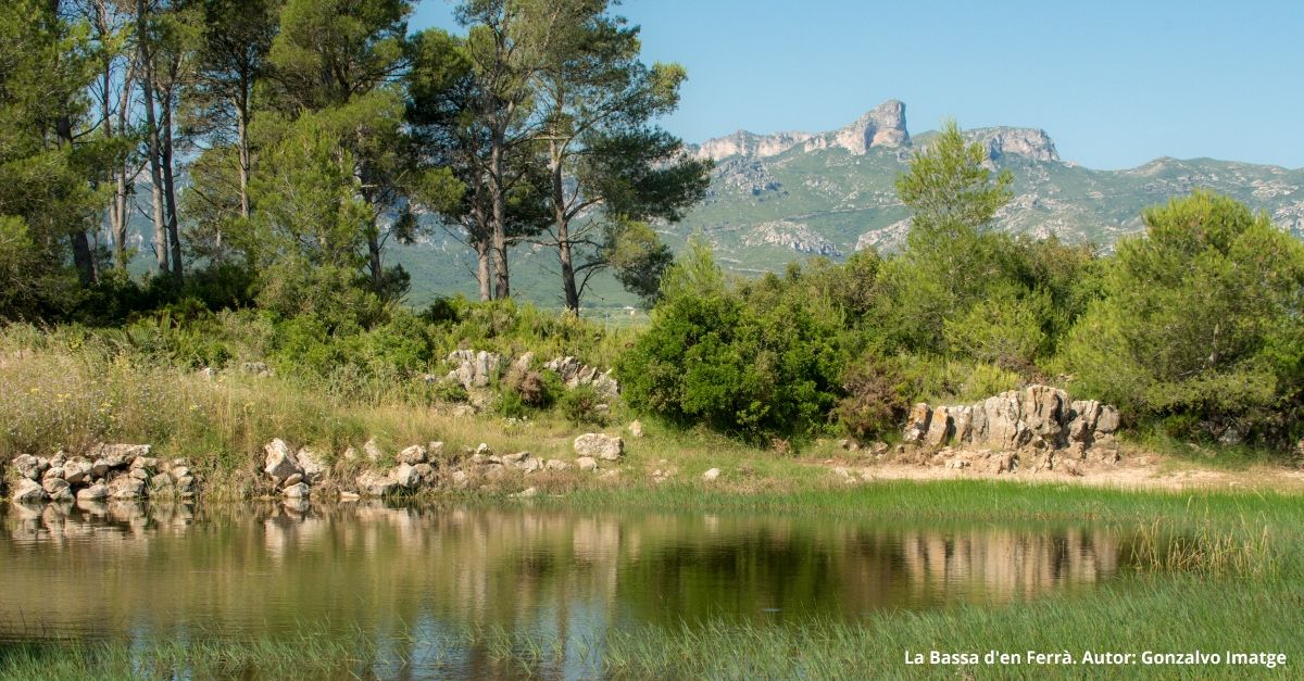 El Perell, mucho por disfrutar | EbreActiu.cat, revista digital de ocio activo | Terres de l’Ebre...