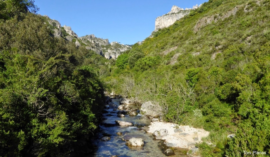 Roquetes, montaa, ciencia y tradicin | EbreActiu.cat, revista digital de ocio activo | Terres de l’Ebre...