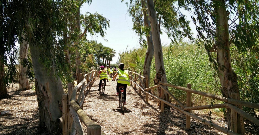 Sant Jaume d’Enveja | EbreActiu.cat, revista digital de ocio activo | Terres de l’Ebre...