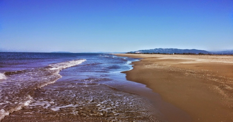 Sant Jaume d’Enveja | EbreActiu.cat, revista digital de ocio activo | Terres de l’Ebre...