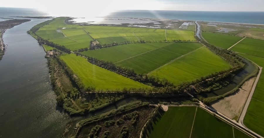 Sant Jaume d’Enveja | EbreActiu.cat, revista digital d’oci actiu | Terres de l’Ebre ...