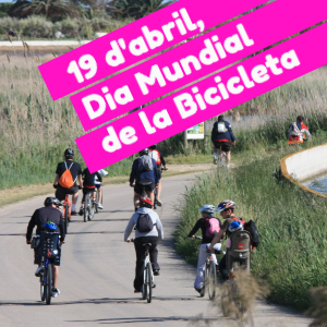 Dia Mundial de la Bicicleta