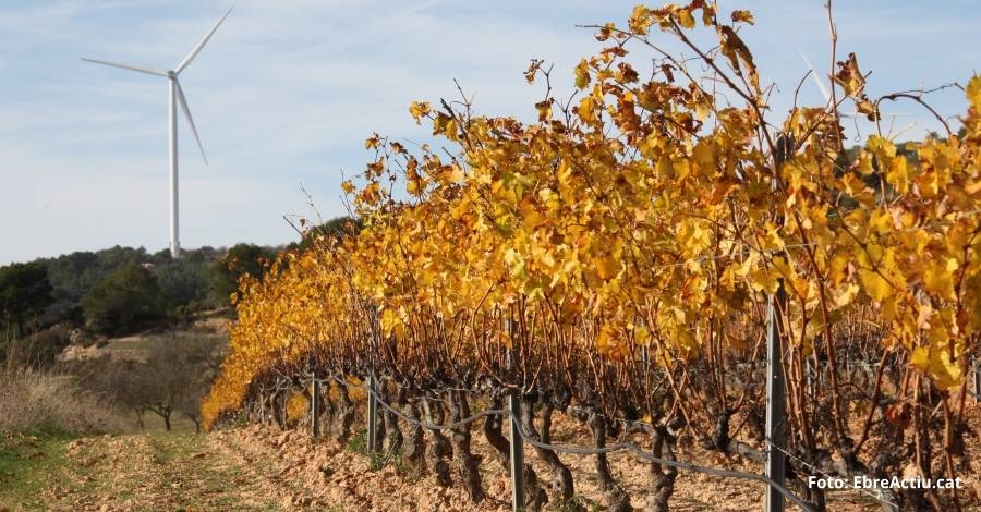 La DO Terra Alta intensifica la seva oposici a la massificaci elica a les Terres de l’Ebre | EbreActiu.cat, revista digital d’oci actiu | Terres de l’Ebre ...