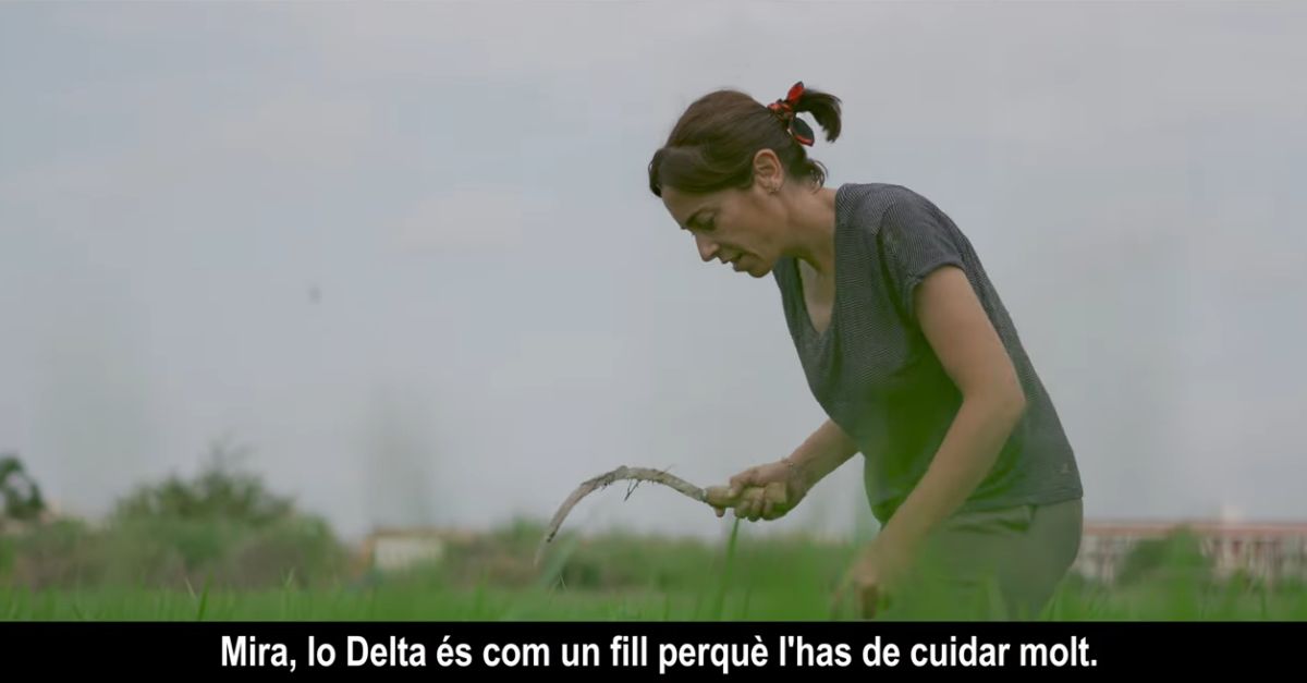 Arrs, la sang del Delta, un documental sobre la cooperativa de les Dones Arrosseres del Delta de l’Ebre | EbreActiu.cat, revista digital d’oci actiu | Terres de l’Ebre ...