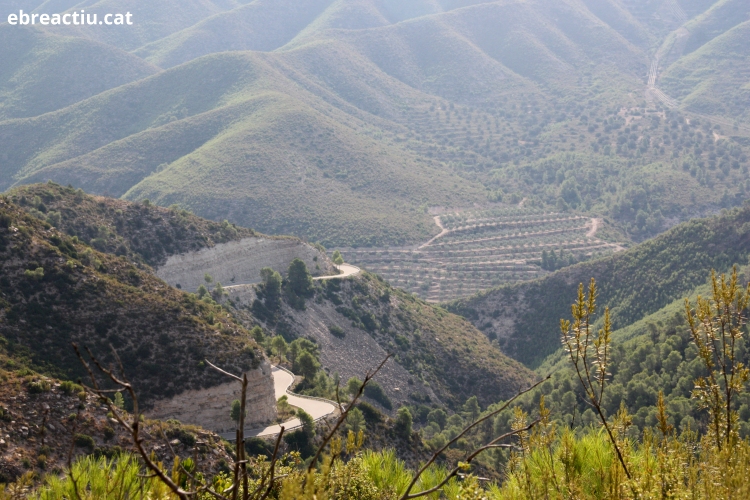 Ruta: La Punta del Duc | EbreActiu.cat, revista digital d’oci actiu | Terres de l’Ebre ...