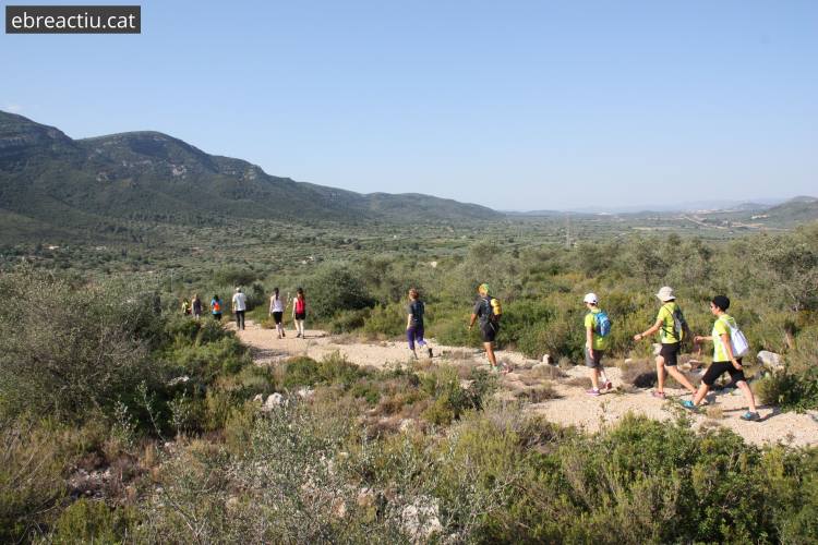 Prop de 700 participants al 7 Duextrem d’Amposta | EbreActiu.cat, revista digital d’oci actiu | Terres de l’Ebre ...