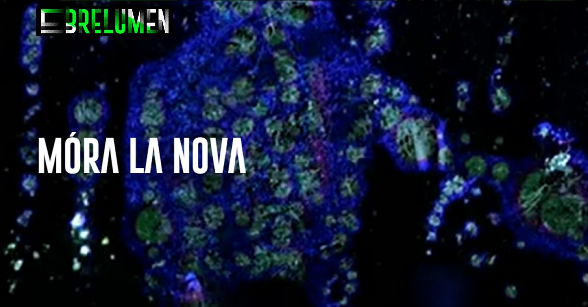 EbreLumen: Mra la Nova