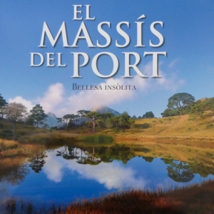 El masss del Port. Bellesa inslita, de Vicent Pellicer