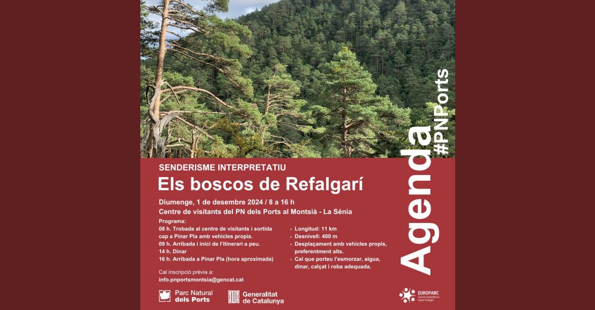 Los bosques de Refalgar