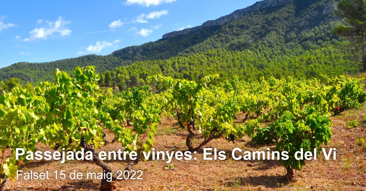 Els camins del vi, paseo entre vias