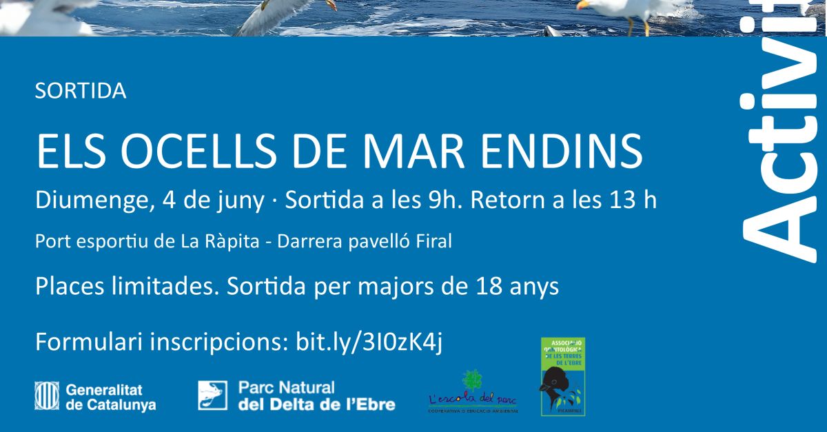 Els ocells de mar endins