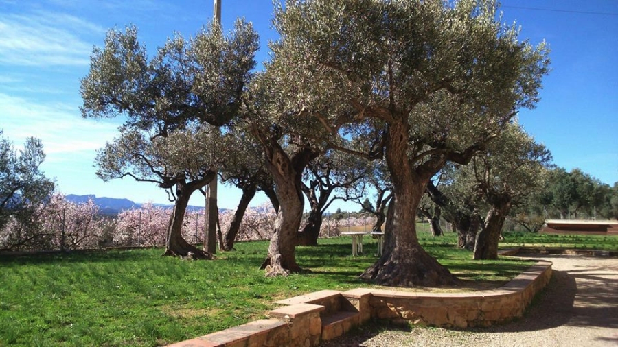 Casa de colnies Els Olivers | EbreActiu.cat, revista digital d’oci actiu | Terres de l’Ebre ...