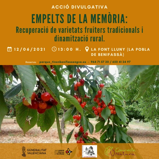 Empelts de la memria: Recuperaci de varietats fruiters tradicionals i dinamitzaci rural