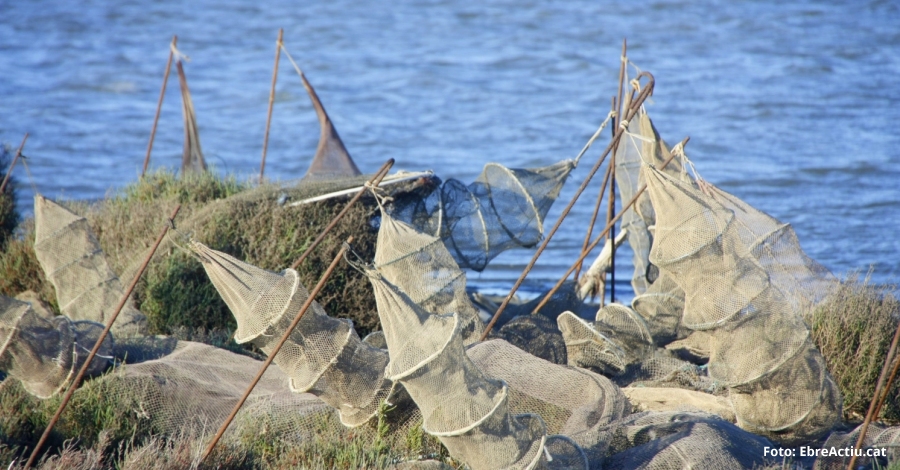 En marxa el 19 concurs de fotografia de les Terres de l’Ebre | EbreActiu.cat, revista digital d’oci actiu | Terres de l’Ebre ...